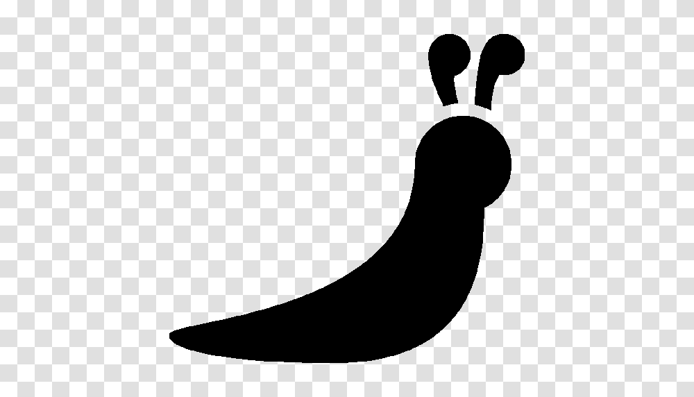 Slug, Insect, Logo, Word Transparent Png