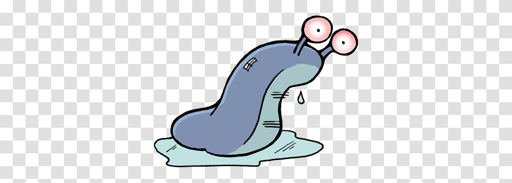 Slug, Insect, Mammal, Animal, Sunglasses Transparent Png