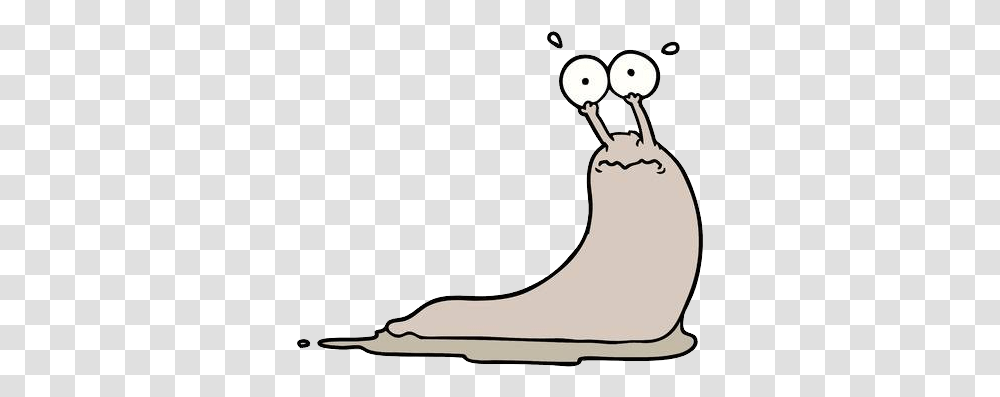 Slug, Insect, Sack, Bag, Drawing Transparent Png