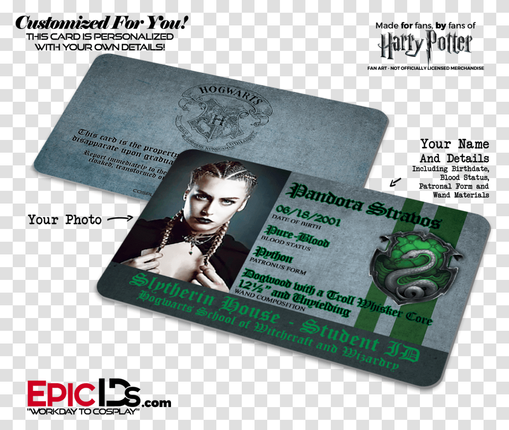 Slytherin Harry Potter Merch, Person, Human, Id Cards Transparent Png