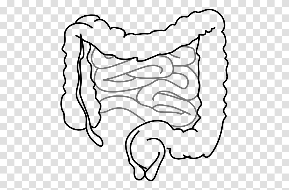 Small And Large Intestine Clipart, Pillow, Cushion, Label Transparent Png