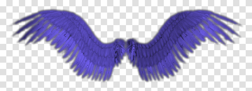Small Angel Wings, Bird, Animal Transparent Png