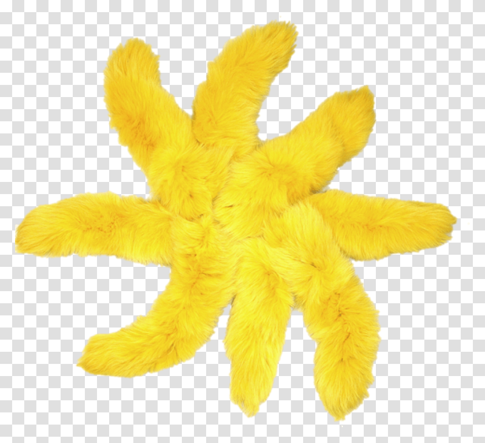 Small Animals Dyed Yellow Fox Tail Taxidermy Stuffed Toy, Pillow, Cushion, Peel, Plant Transparent Png