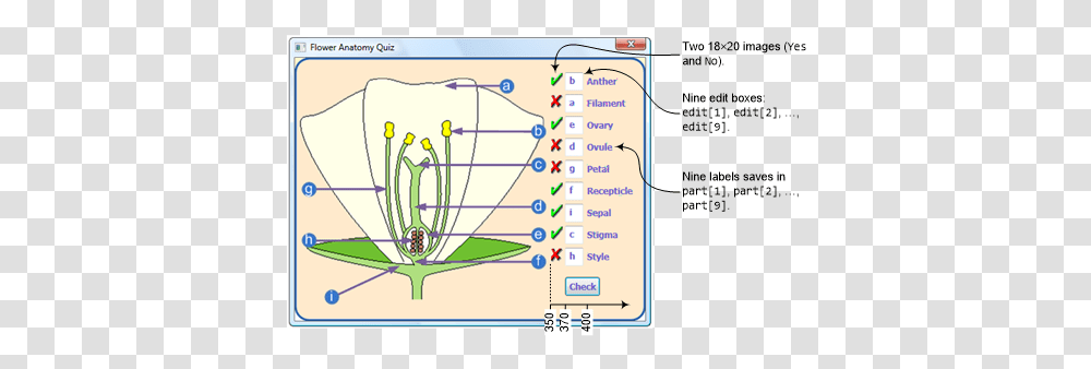 Small Basic Flower Anatomy Quiz Technet Articles United Screenshot, Plot, Diagram, Vegetation, Plant Transparent Png