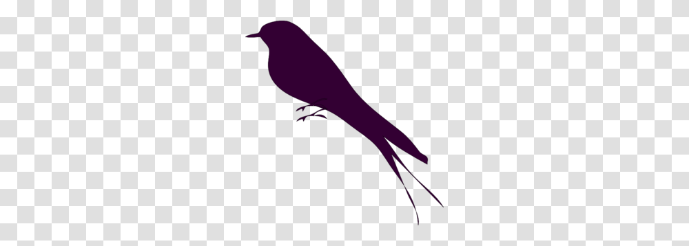 Small Bird Clipart, Animal, Finch, Cardinal Transparent Png