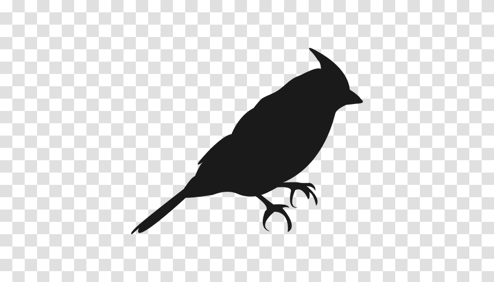 Small Bird Silhouette, Animal, Finch, Blackbird, Agelaius Transparent Png
