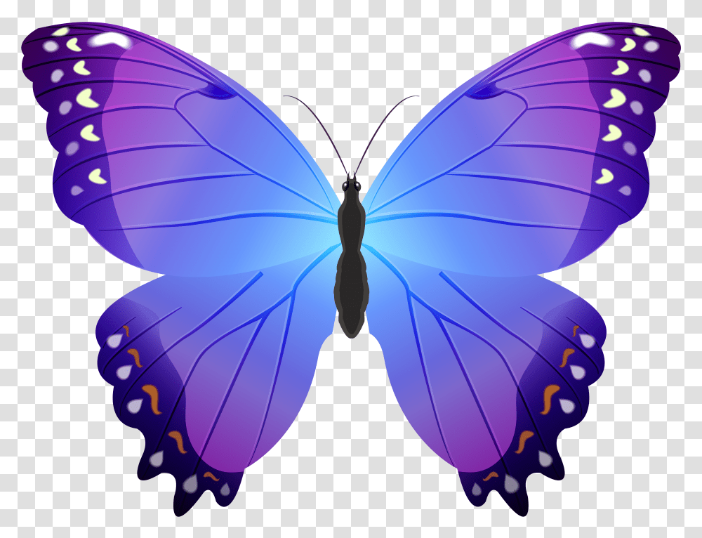 Small Butterfly Clipart, Balloon, Ornament, Pattern, Purple Transparent Png
