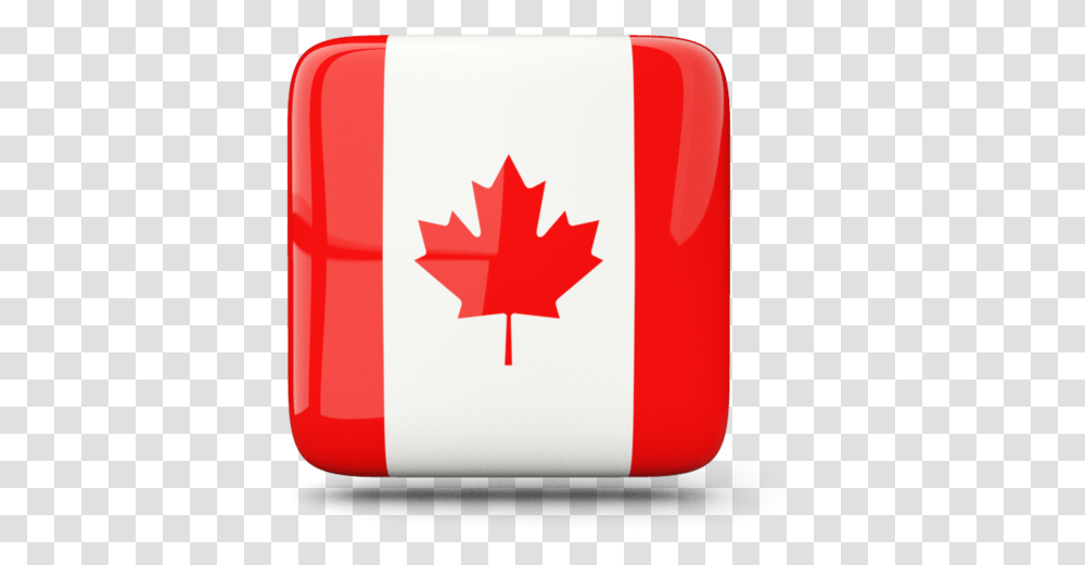 Small Canada Flag Icon, Leaf, Plant, First Aid, Tree Transparent Png