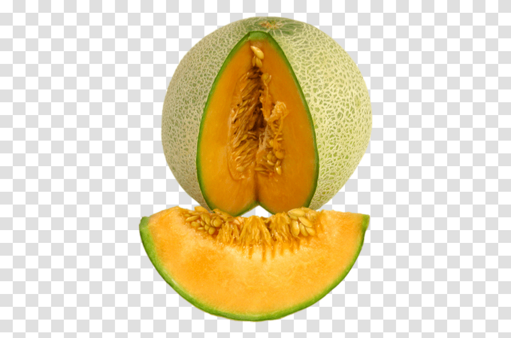 Small Cantaloupe Calories Image Melon, Fruit, Plant, Food Transparent Png