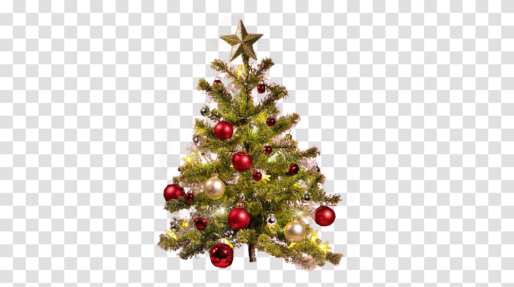 Small Christmas Tree Backgro 950949 Christmas Tree Hd, Ornament, Plant Transparent Png