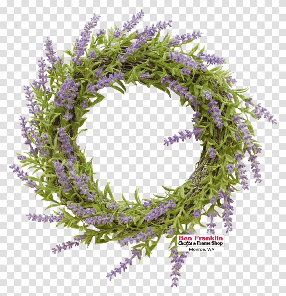 Small Christmas Wreaths For Windows, Plant, Flower, Blossom, Pattern Transparent Png