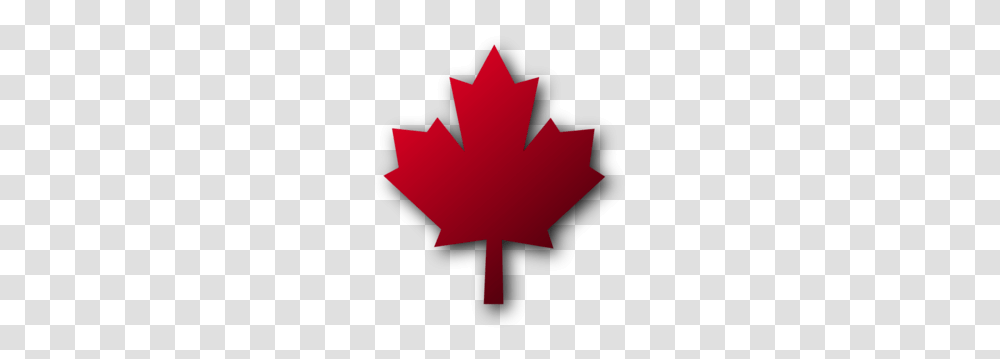 Small Clipart Maple Leaf, Plant, Tree, Cross Transparent Png