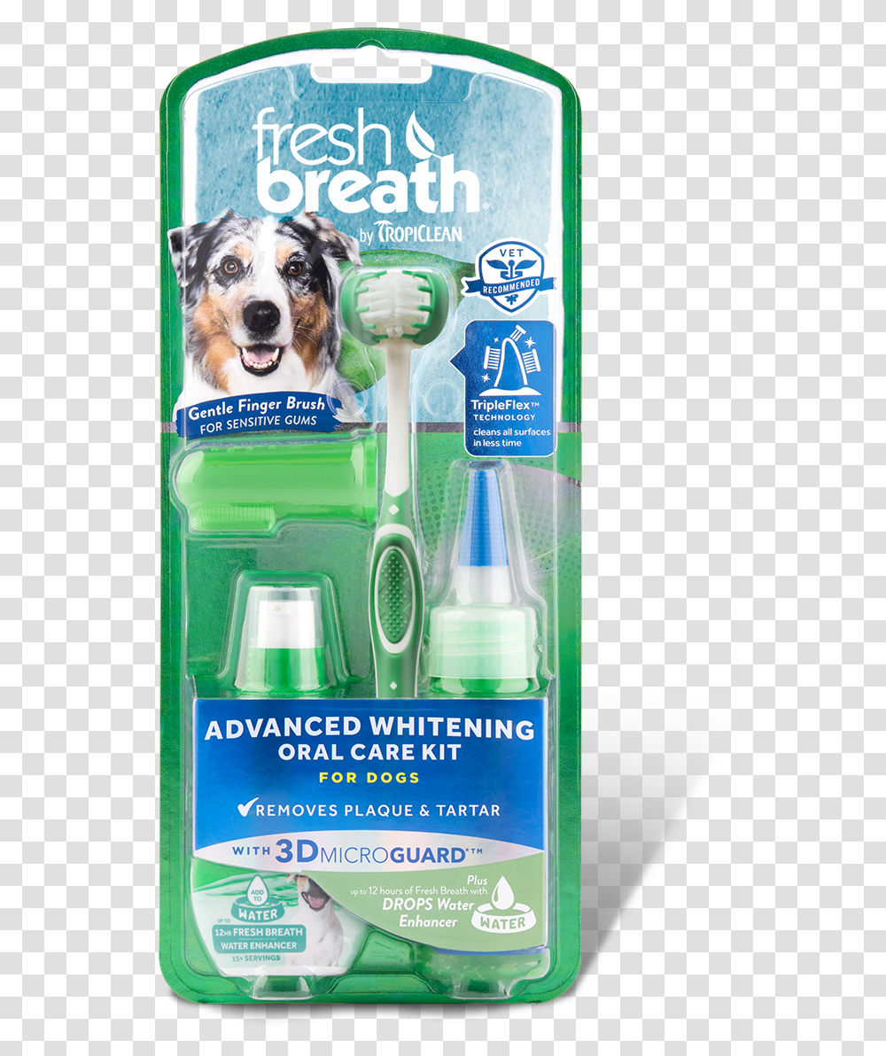 Small Dog, Animal, Mammal, Toothpaste, Bottle Transparent Png