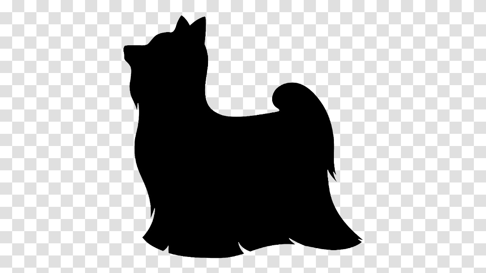 Small Dog Clipart, Bow, Animal, Mammal, Pet Transparent Png
