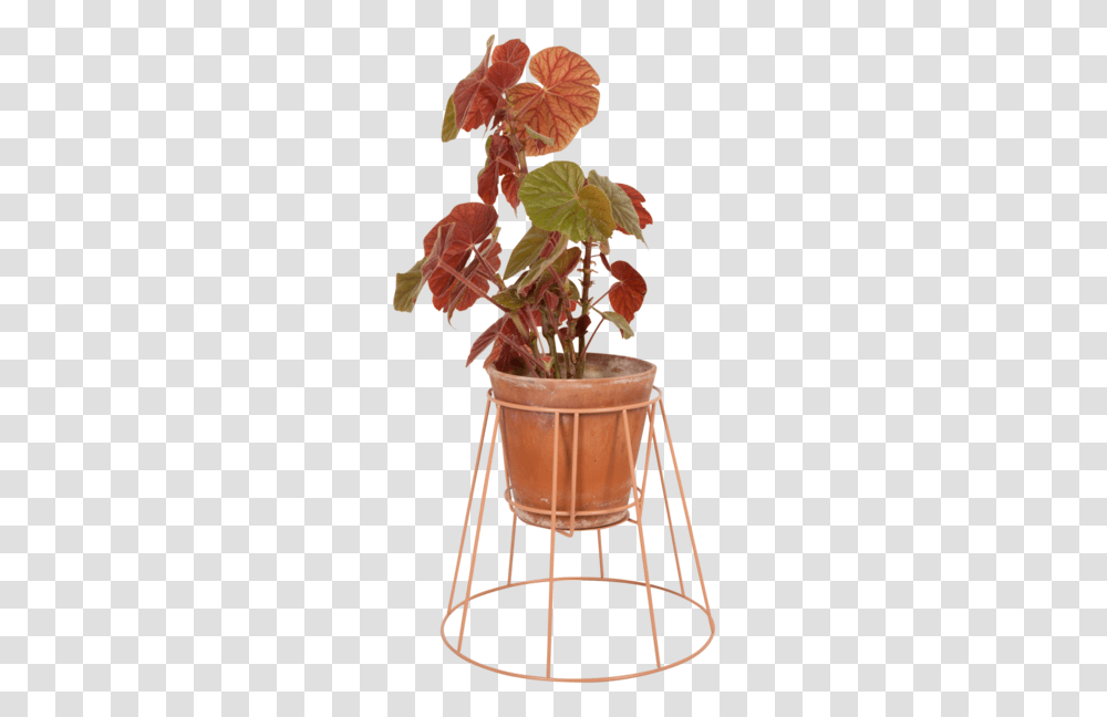 Small Dusty Peach Plant Stand, Bucket Transparent Png