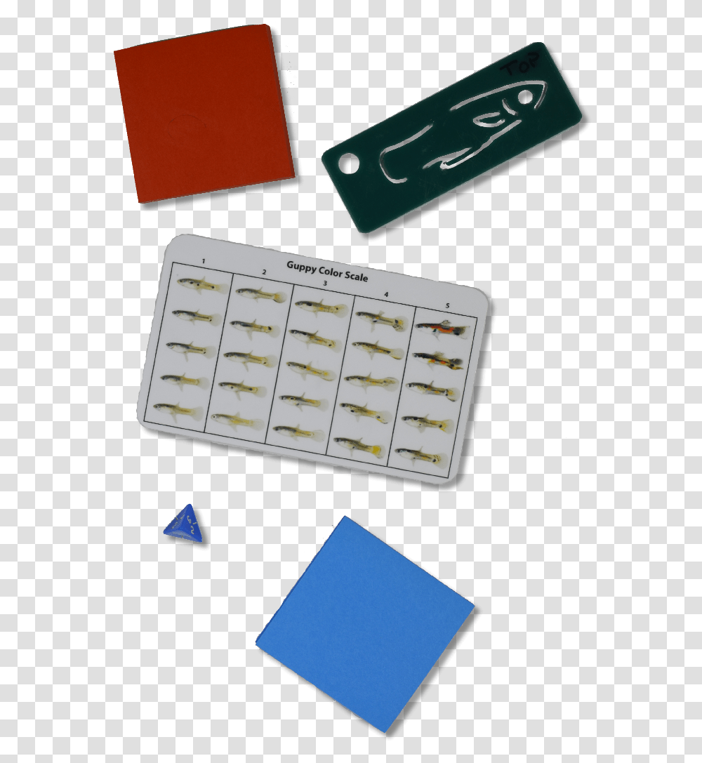 Small Fish Dominoes, Furniture, Medicine Chest, Cabinet Transparent Png