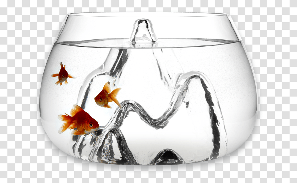 Small Fish Modern Glass Fish Bowl, Animal, Goldfish, Bird, Jar Transparent Png