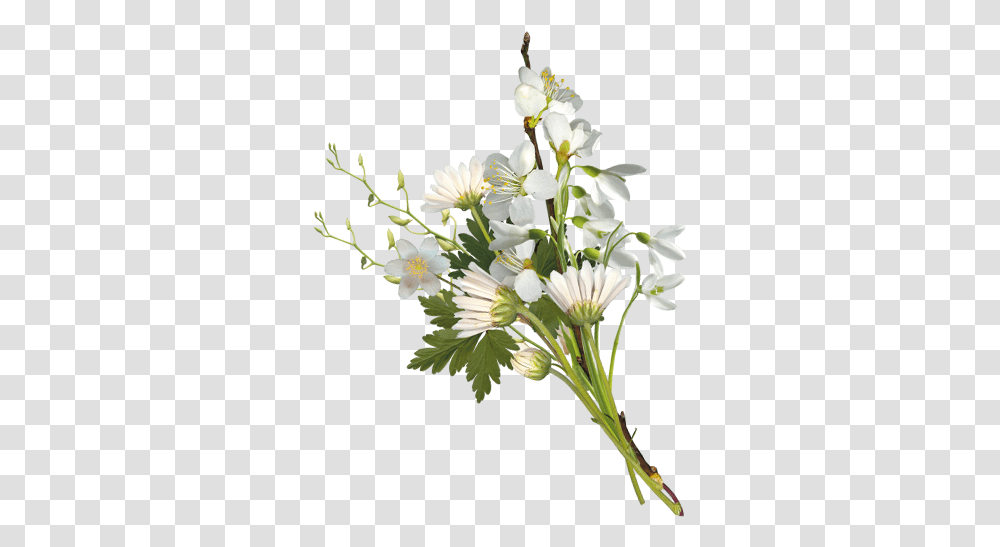 Small Flower Bokeh, Plant, Vase, Jar, Pottery Transparent Png