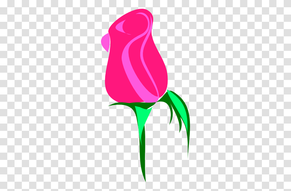 Small Flower Clip Art, Rose, Plant, Blossom, Tulip Transparent Png