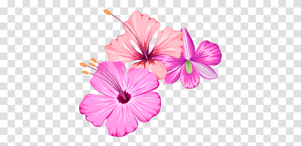 Small Flower Design, Plant, Blossom, Geranium, Petal Transparent Png