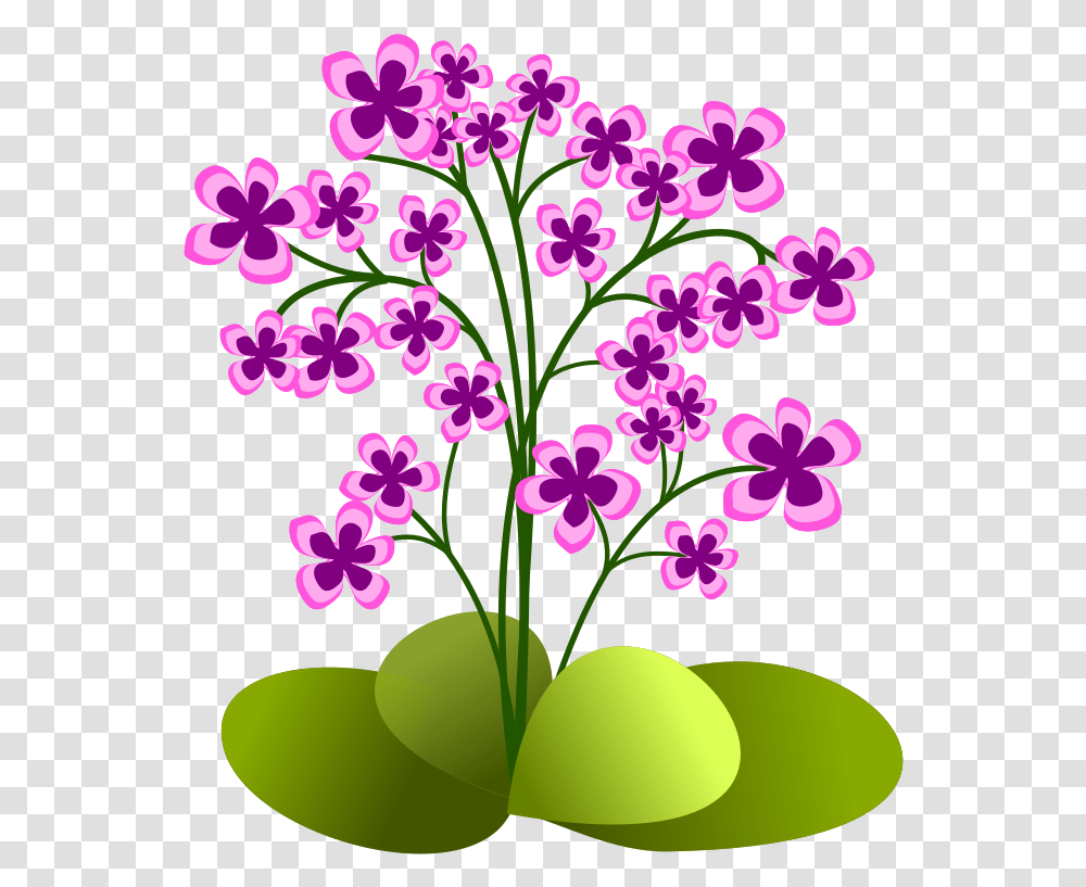 Small Flowers Small Flower Plants Clipart, Blossom, Flyer, Poster Transparent Png