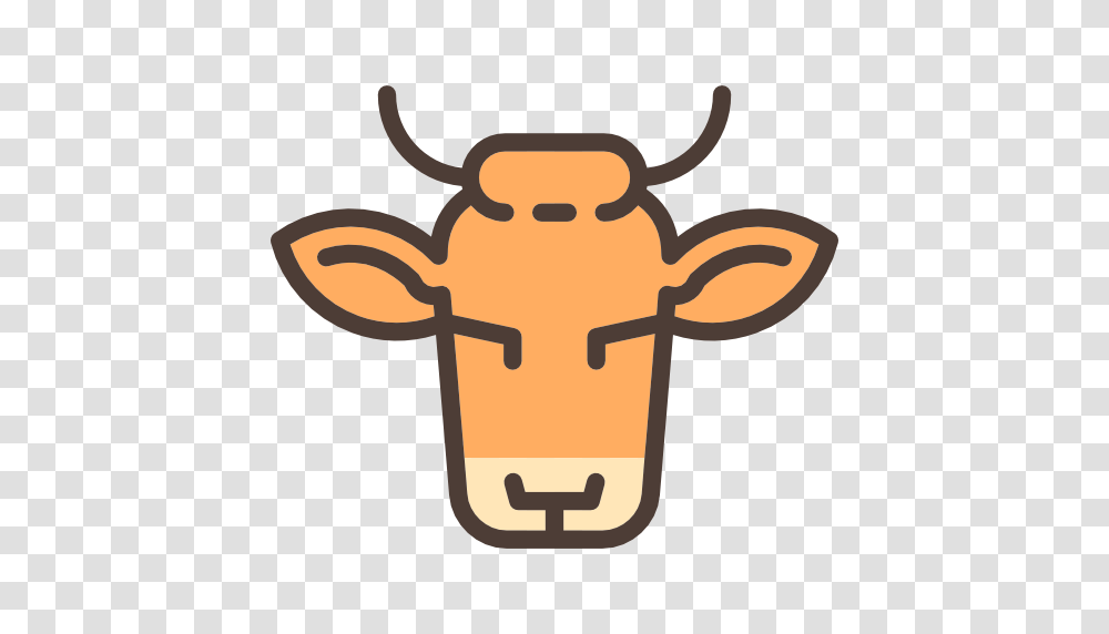 Small Horns Horns Front Face Animal Cow Animals Frontal, Outdoors, Mammal, Insect, Invertebrate Transparent Png