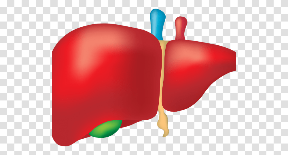Small Intestine Clipart World Hepatitis Day Theme 2018, Balloon, Plant, Vegetable, Food Transparent Png