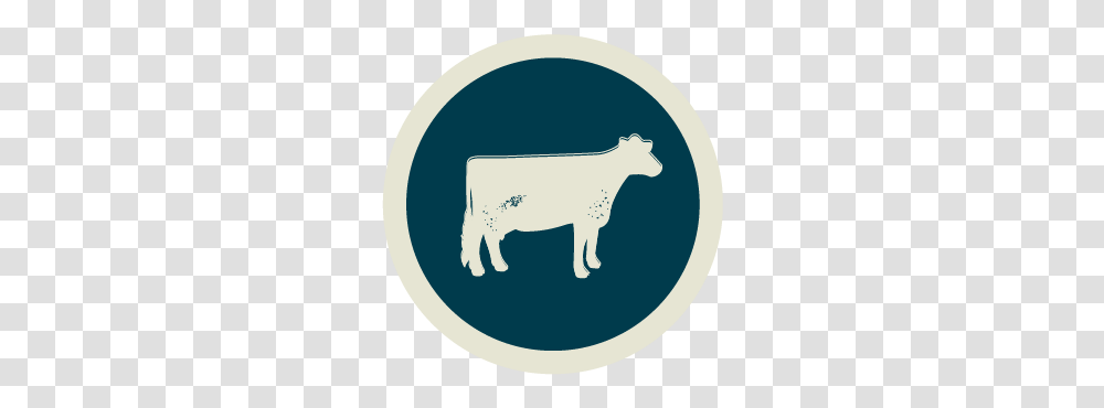 Small Livestock Animal Figure, Mammal, Cattle, Cow, Buffalo Transparent Png