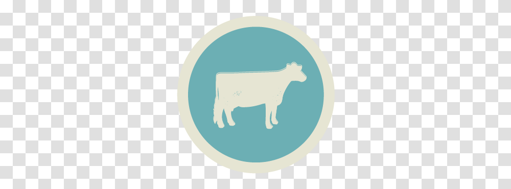 Small Livestock Animal Figure, Mammal, Cow, Cattle, Buffalo Transparent Png