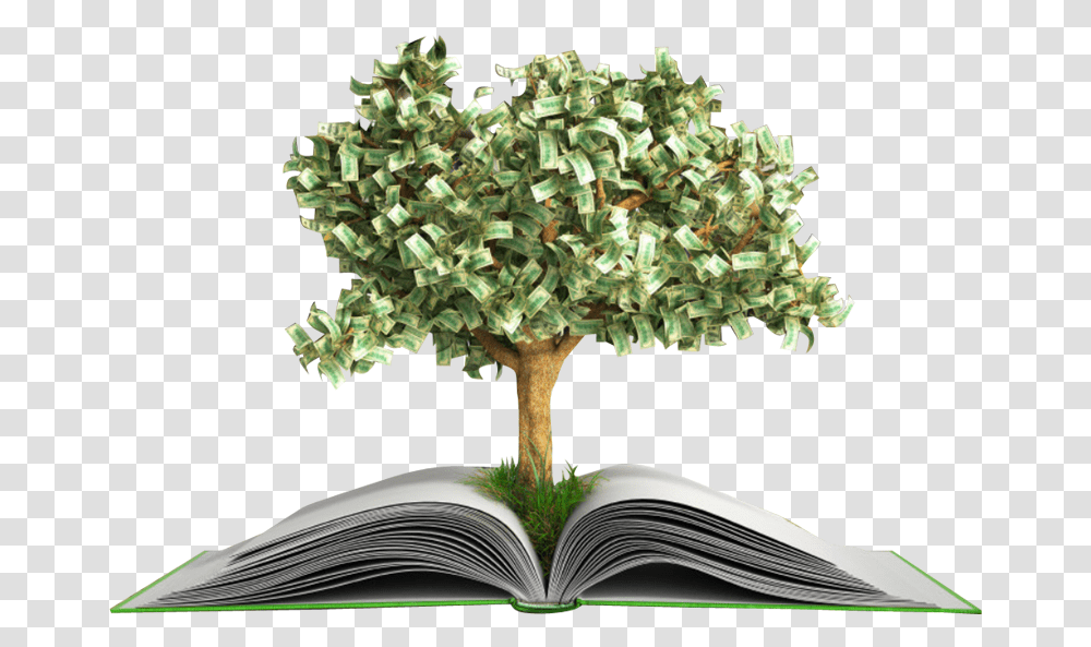 Small Money Tree Growing Money Tree, Plant, Jar, Vase, Pottery Transparent Png