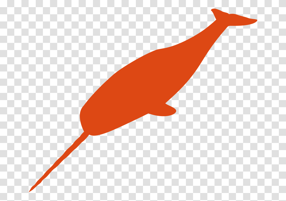 Small Narwhal, Animals, Mammal, Sea Life, Whale Transparent Png