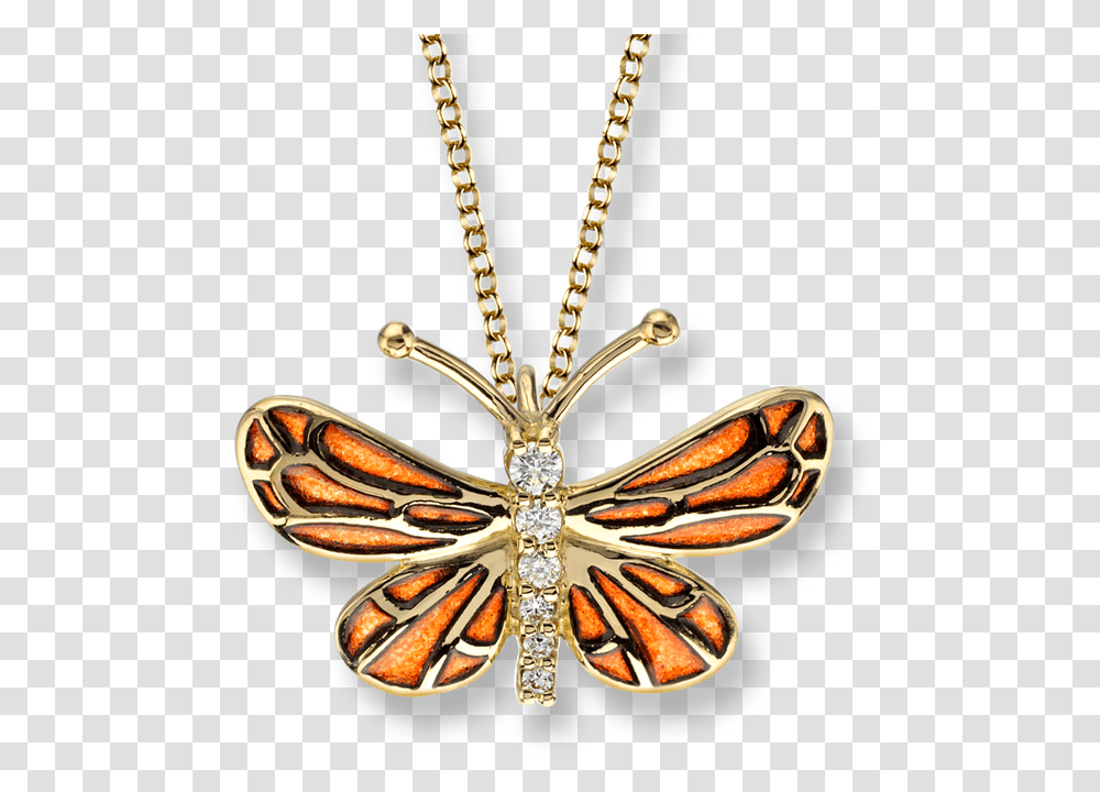 Small Necklace Designs Background, Pendant, Insect, Invertebrate, Animal Transparent Png