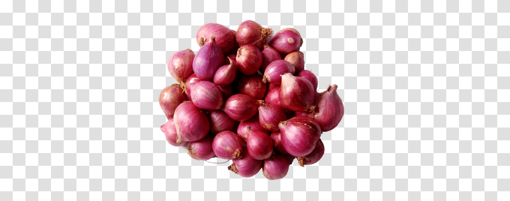 Small Onion Onion, Plant, Shallot, Vegetable, Food Transparent Png