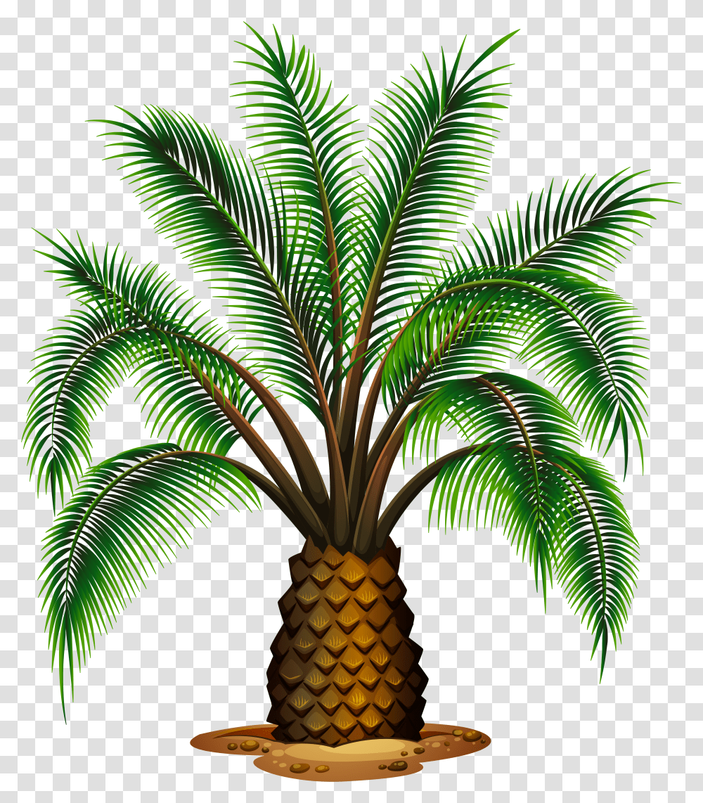 Small Palm Tree Picture Palm Oil Tree Vector, Plant, Pineapple, Fruit, Food Transparent Png