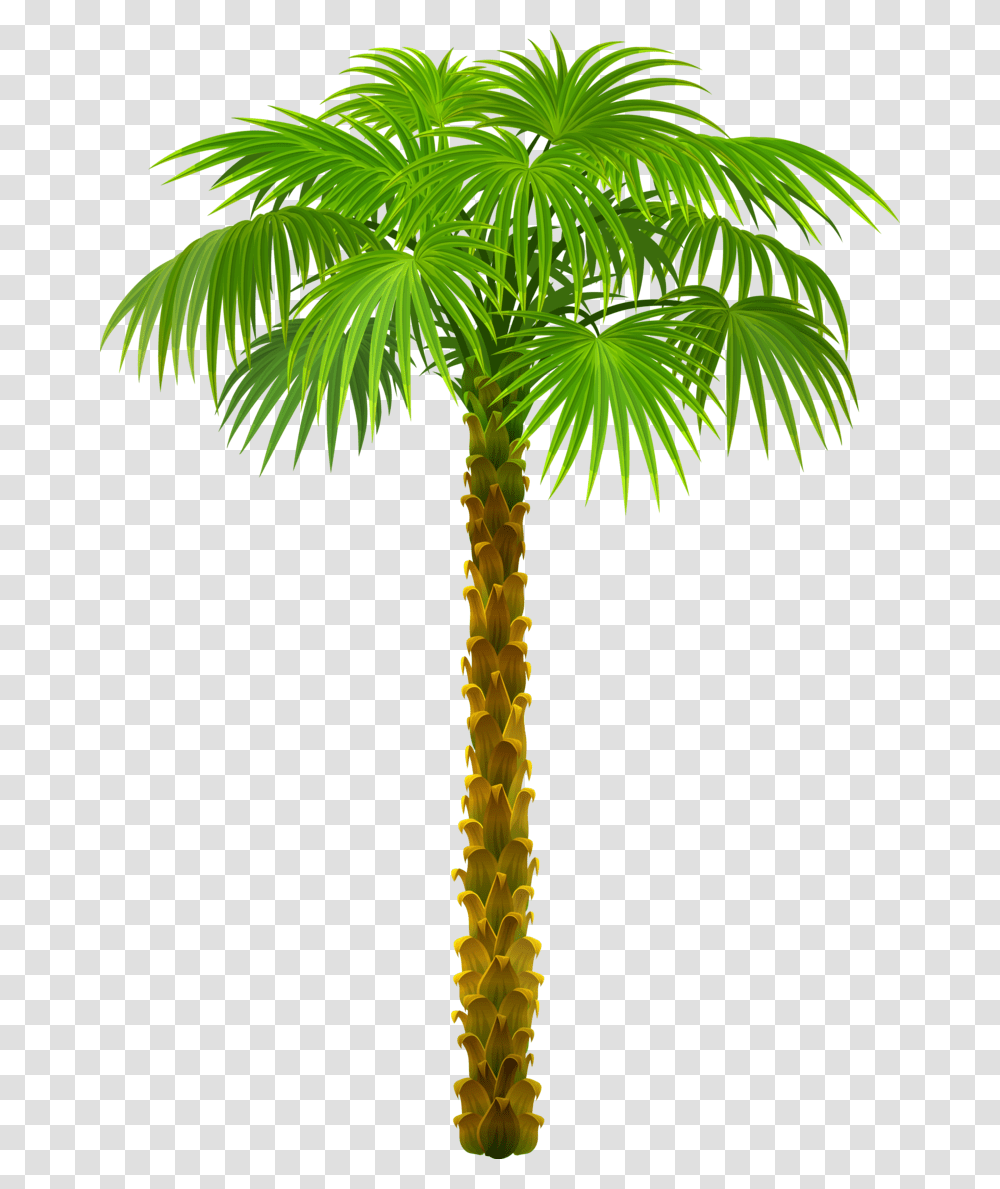 Small Palm Trees On A Beach P Date Tree Clipart, Plant, Arecaceae, Cross Transparent Png