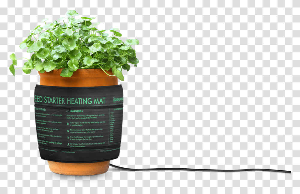 Small Plant Plant Heating Mat, Potted Plant, Vase, Jar, Pottery Transparent Png