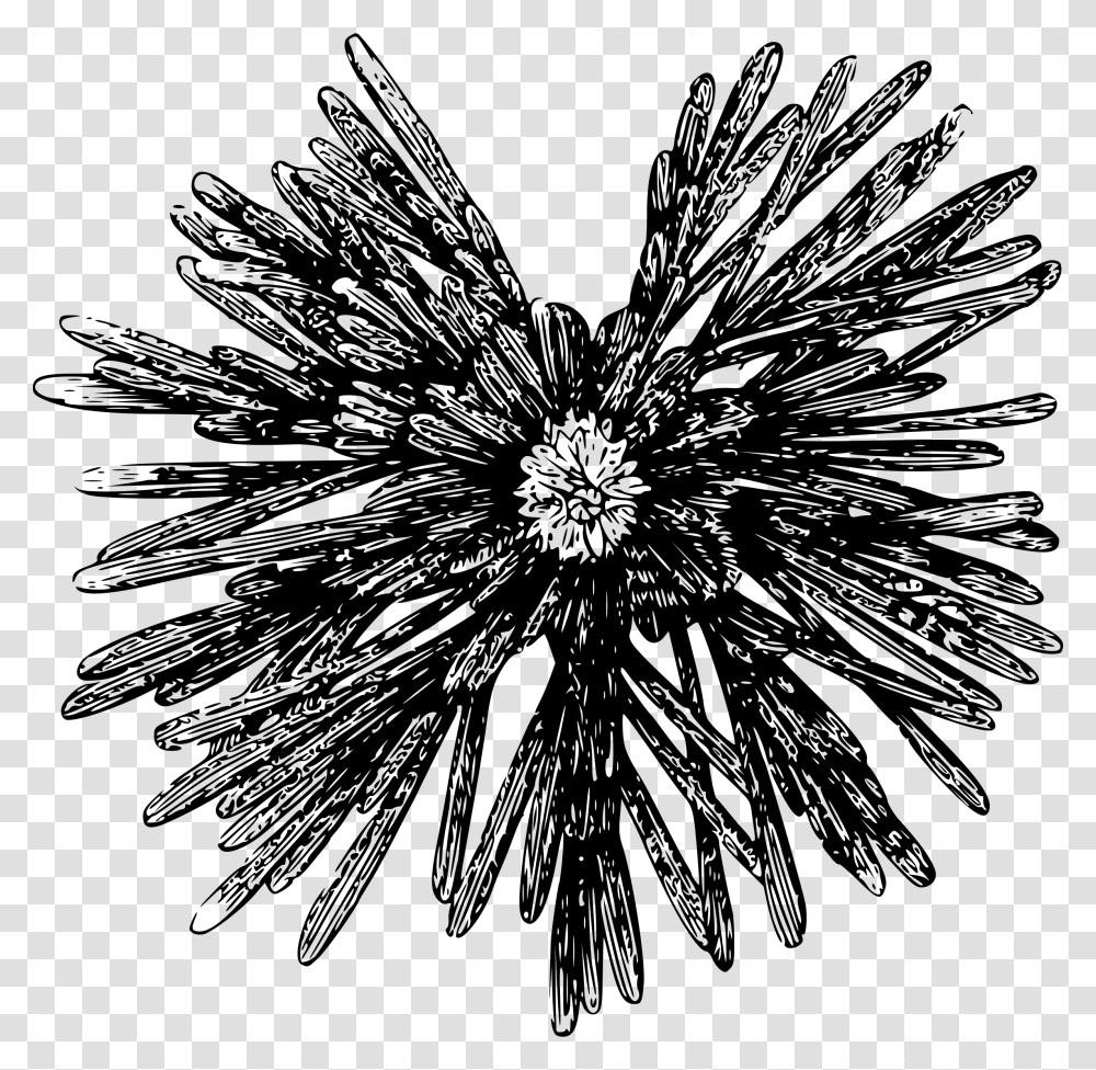 Small Sea Urchin Clip Arts Clip Art, Gray, World Of Warcraft Transparent Png