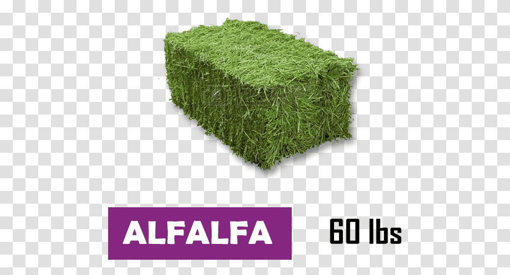 Small Square Bale Of Alfalfa Small Square Hay Bales, Plant, Grass, Vegetation, Moss Transparent Png