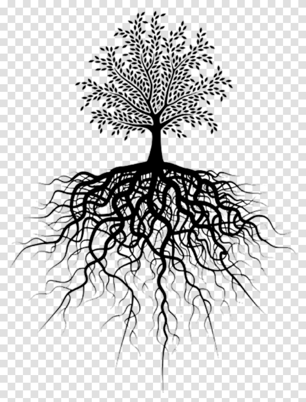 Small Tree Big Roots, Plant Transparent Png