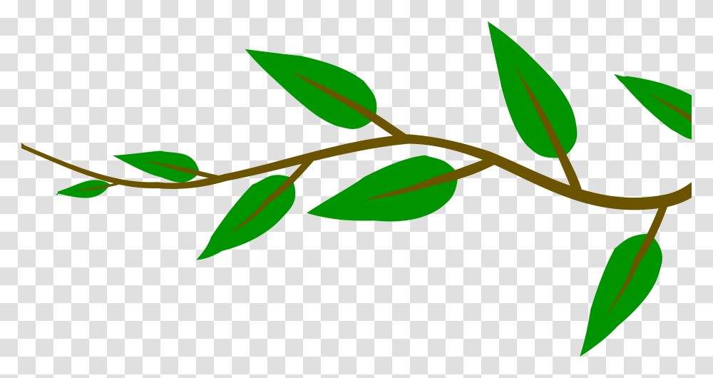 Small Tree Branch With Green Leaves Image Photo, Leaf, Plant, Veins, Spring Transparent Png