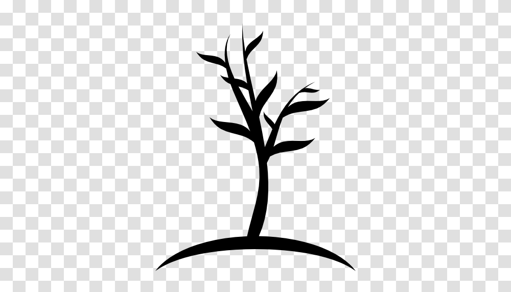 Small Tree Image Royalty Free Stock Images For Your Design, Silhouette, Stencil Transparent Png