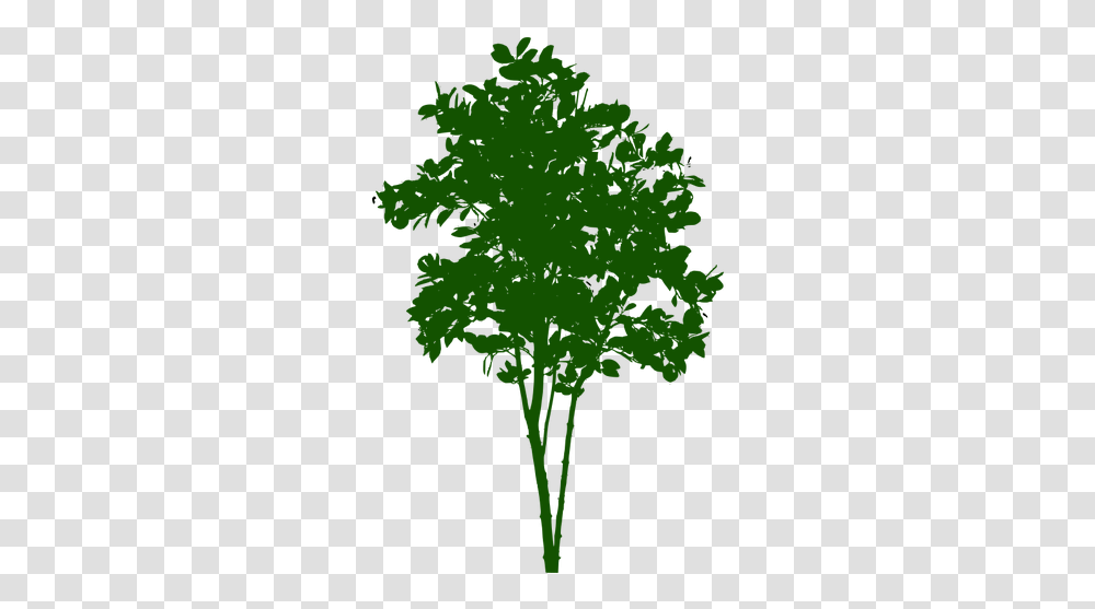 Small Tree Small Tree Symbol, Plant, Leaf, Silhouette, Green Transparent Png