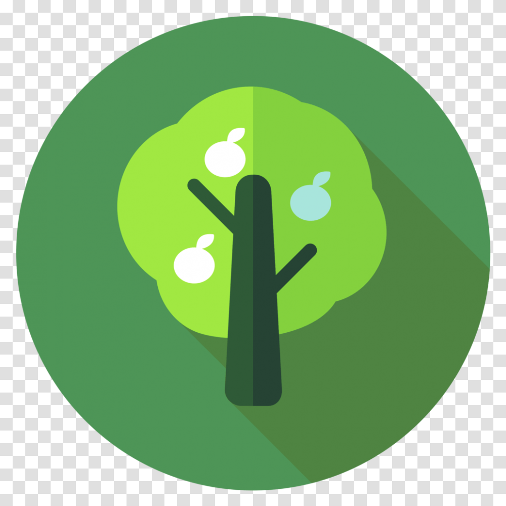 Small Tree Small Tree Work Circle 3422115 Vippng Dot, Plant, Vegetable, Food, Sphere Transparent Png