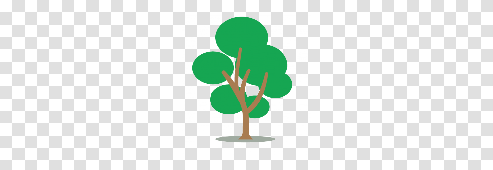 Small Tree Vector, Plant, Green, Light Transparent Png