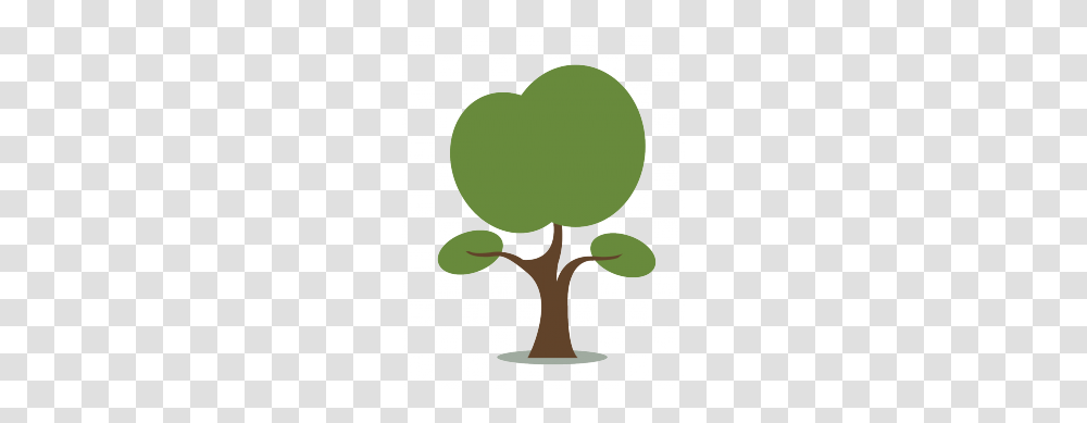 Small Tree Vector, Plant, Tennis Ball, Sport, Sports Transparent Png