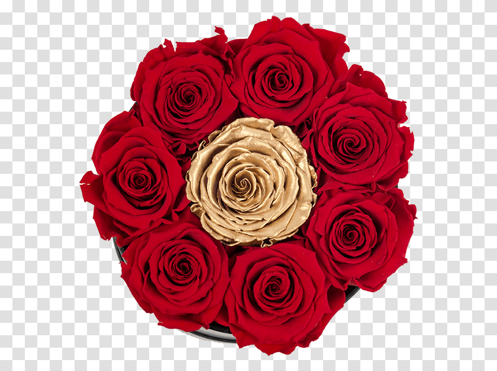 Small White Box With Red Roses And Center Gold Rose, Graphics, Art, Floral Design, Pattern Transparent Png