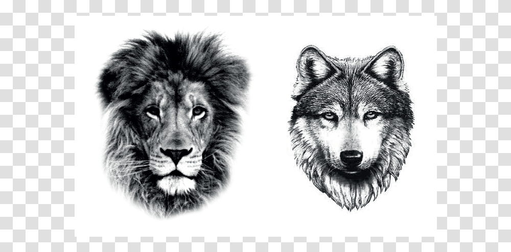 Small Wolf Head Tattoo, Tiger, Wildlife, Mammal, Animal Transparent Png