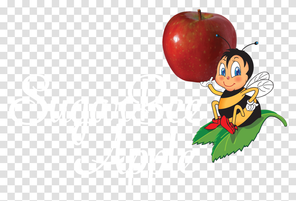 Smaller Sugarbeelogostackedcmykwithnewapple Sugarbee Sugar Bee Apple Logo Svg, Plant, Fruit, Food, Text Transparent Png