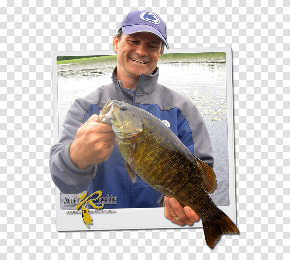 Smallmouth Bass Pull Fish Out Of Water, Perch, Animal, Person, Human Transparent Png