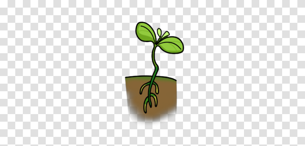Smart Exchange, Plant, Sprout, Green, Leaf Transparent Png